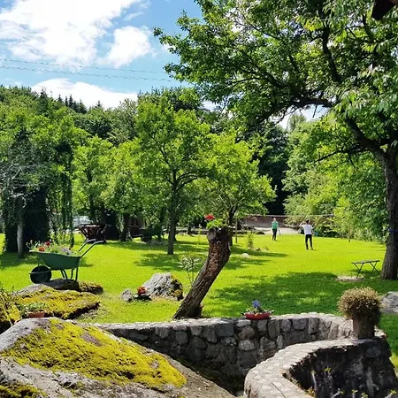 Casa Bunicului Vistisoara