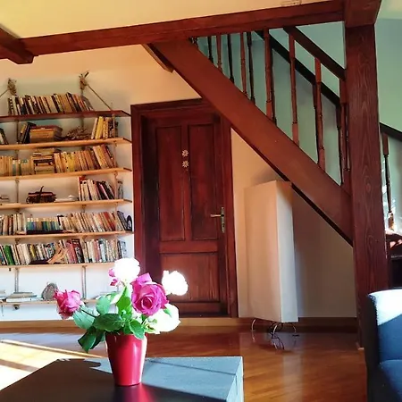 Farm stay Casa Bunicului Vistisoara