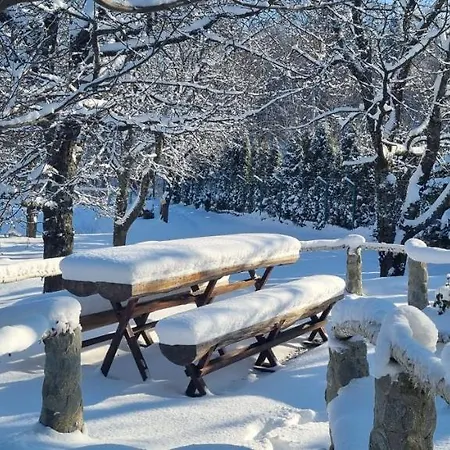 Agroturismo Casa Bunicului Vistisoara