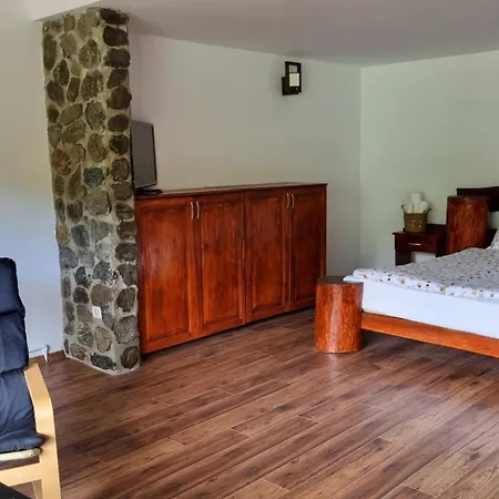 Casa Bunicului Vistisoara