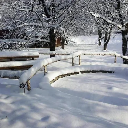 Casa Bunicului Farm stay