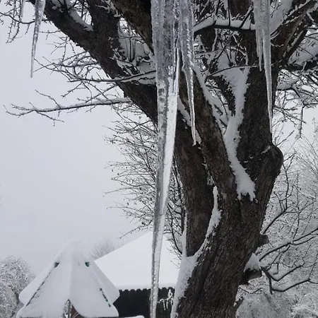 Feriegård Casa Bunicului *