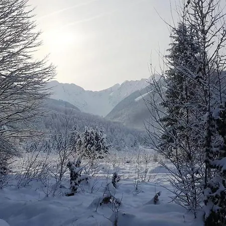 Casa Bunicului * Vistisoara