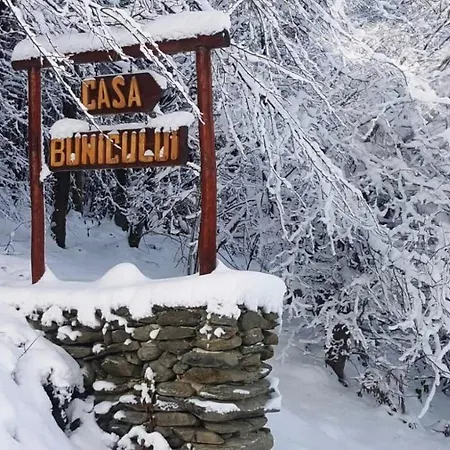 Casa Bunicului *