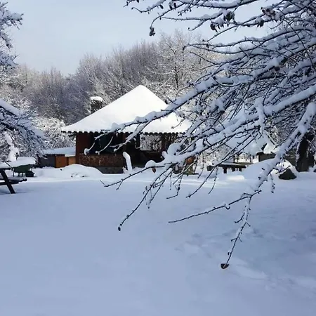 Feriegård Casa Bunicului Vistisoara