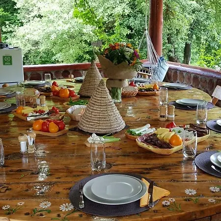 Casa Bunicului * Vistisoara